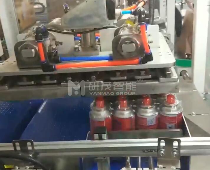 河北卡式氣瓶裝箱機(jī)包裝流水線(xiàn)設(shè)備