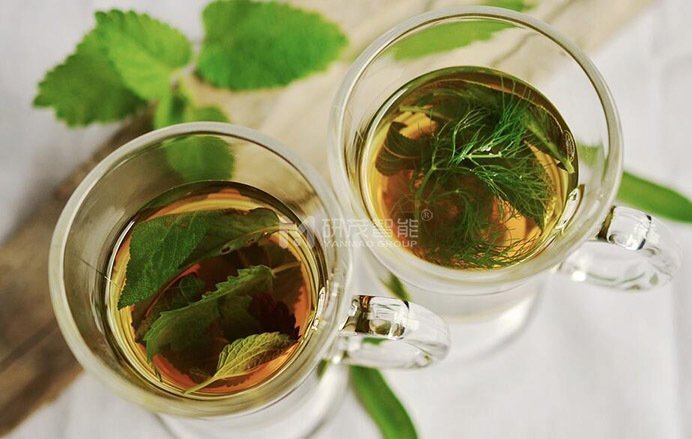 茶葉