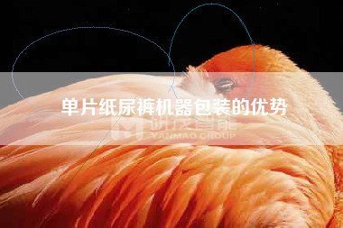 試用裝紙尿褲包裝機，體驗裝紙尿褲包裝機注意事項
