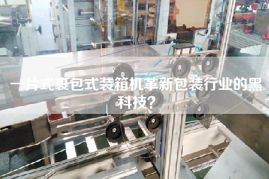 一片式裹包式裝箱機革新包裝行業(yè)的黑科技？