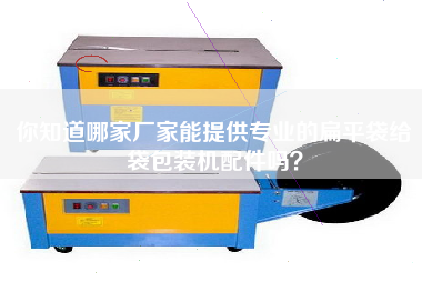 你知道哪家廠(chǎng)家能提供專(zhuān)業(yè)的扁平袋給袋包裝機配件嗎