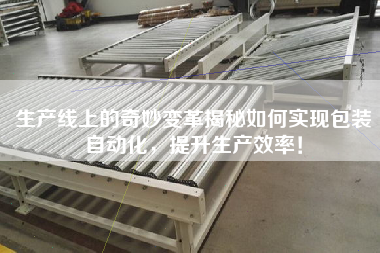 生產(chǎn)線(xiàn)上的奇妙變革揭秘如何實(shí)現包裝自動(dòng)化，提升生產(chǎn)效率！