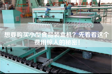 想要購買(mǎi)小型食品裝盒機？先看看這個(gè)費用驚人的秘密！