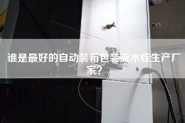 誰(shuí)是最好的自動(dòng)裝箱包裝流水線(xiàn)生產(chǎn)廠(chǎng)家？