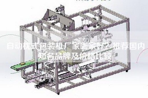 自動(dòng)枕式包裝機廠(chǎng)家哪家好？推薦國內知名品牌及價(jià)格比較