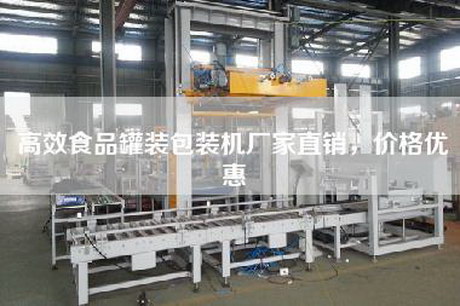 高效食品罐裝包裝機廠(chǎng)家直銷(xiāo)，價(jià)格優(yōu)惠