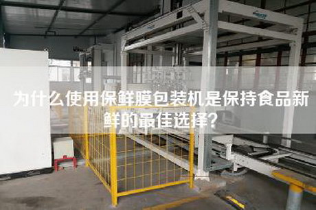 為什么使用保鮮膜包裝機是保持食品新鮮的最佳選擇？