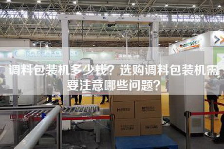調料包裝機多少錢(qián)？選購調料包裝機需要注意哪些問(wèn)題？