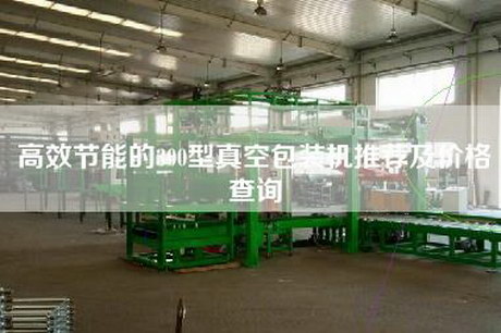 高效節能的300型真空包裝機推薦及價(jià)格查詢(xún)