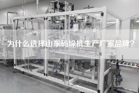 為什么選擇山東碼垛機生產(chǎn)廠(chǎng)家品牌？