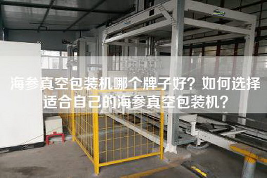 海參真空包裝機哪個(gè)牌子好？如何選擇適合自己的海參真空包裝機？
