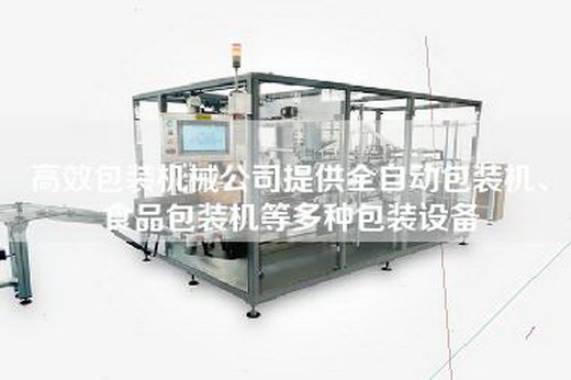 高效包裝機械公司提供全自動(dòng)包裝機、食品包裝機等多種包裝設備