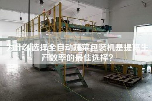 為什么選擇全自動(dòng)蔬菜包裝機是提高生產(chǎn)效率的最佳選擇？