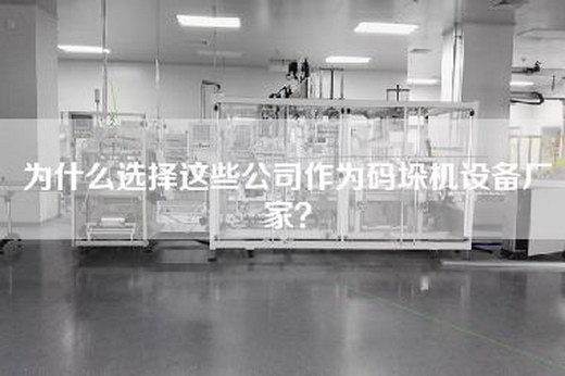 為什么選擇這些公司作為碼垛機設備廠(chǎng)家？