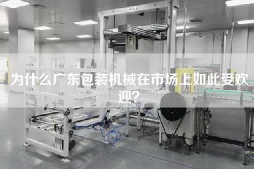 為什么廣東包裝機械在市場(chǎng)上如此受歡迎？