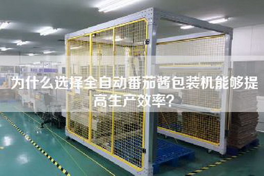 為什么選擇全自動(dòng)番茄醬包裝機能夠提高生產(chǎn)效率？
