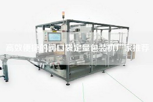 高效便捷的閥口袋定量包裝機廠(chǎng)家推薦