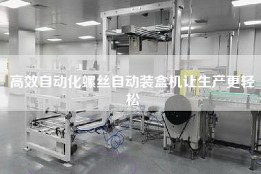 高效自動(dòng)化螺絲自動(dòng)裝盒機讓生產(chǎn)更輕松