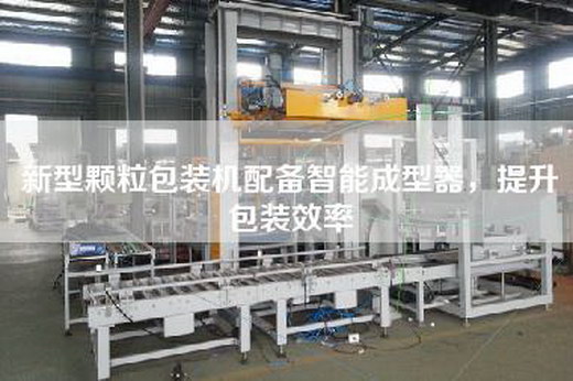 新型顆粒包裝機配備智能成型器，提升包裝效率
