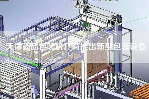 天津藥品包裝機廠(chǎng)商推出新型包裝設備