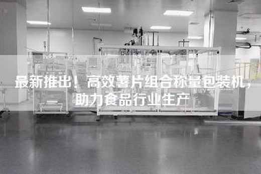最新推出！高效薯片組合稱(chēng)量包裝機，助力食品行業(yè)生產(chǎn)