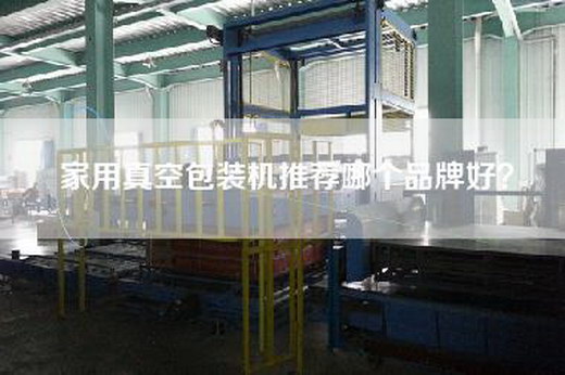 家用真空包裝機推薦哪個(gè)品牌好？