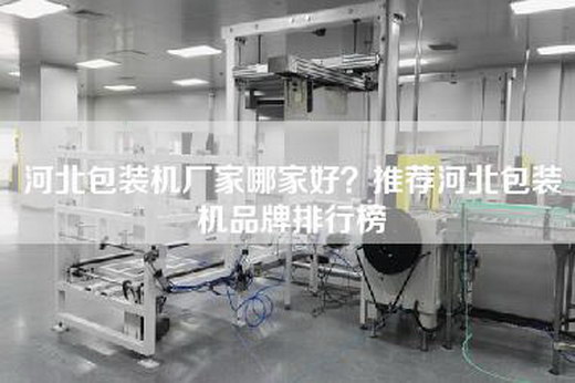 河北包裝機廠(chǎng)家哪家好？推薦河北包裝機品牌排行榜